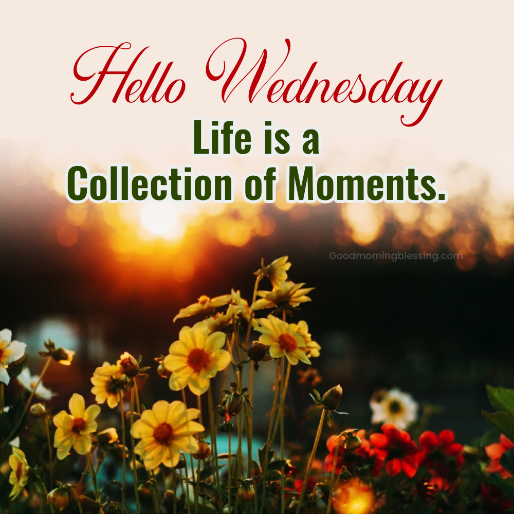 Floral Wednesday Morning Greetings