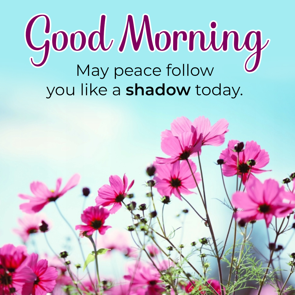 Good Morning Monday Wishes