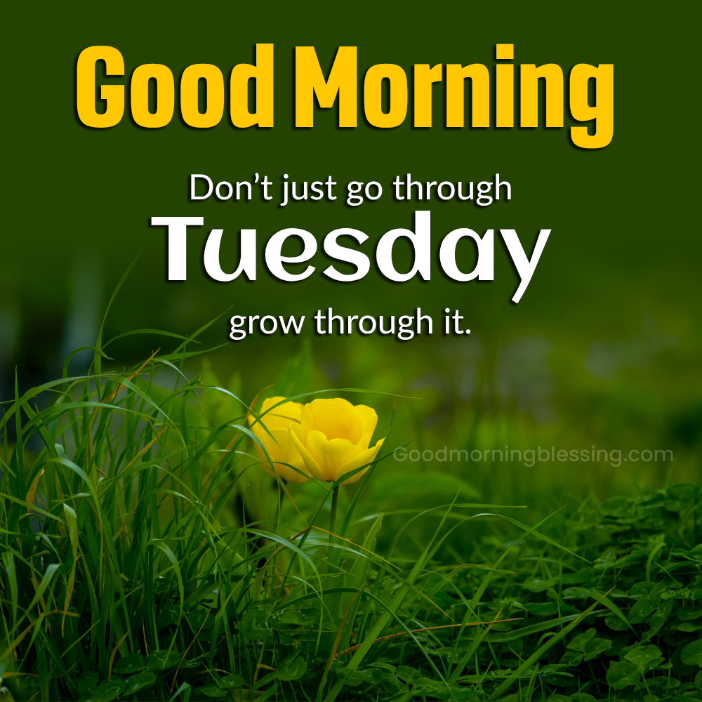 Good Morning Tuesday Inspiration