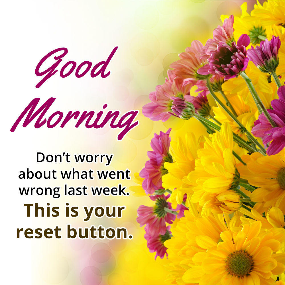 Happy Good Morning Monday