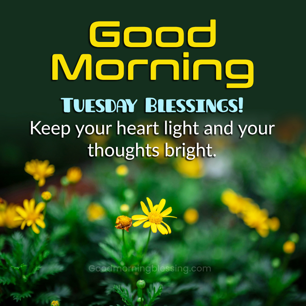 Happy Tuesday Beautiful