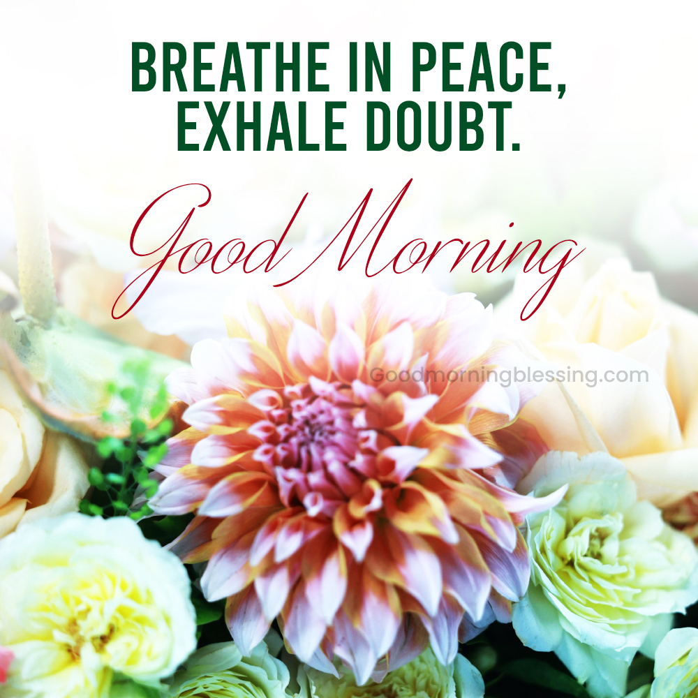 Happy Tuesday Inspiration Images