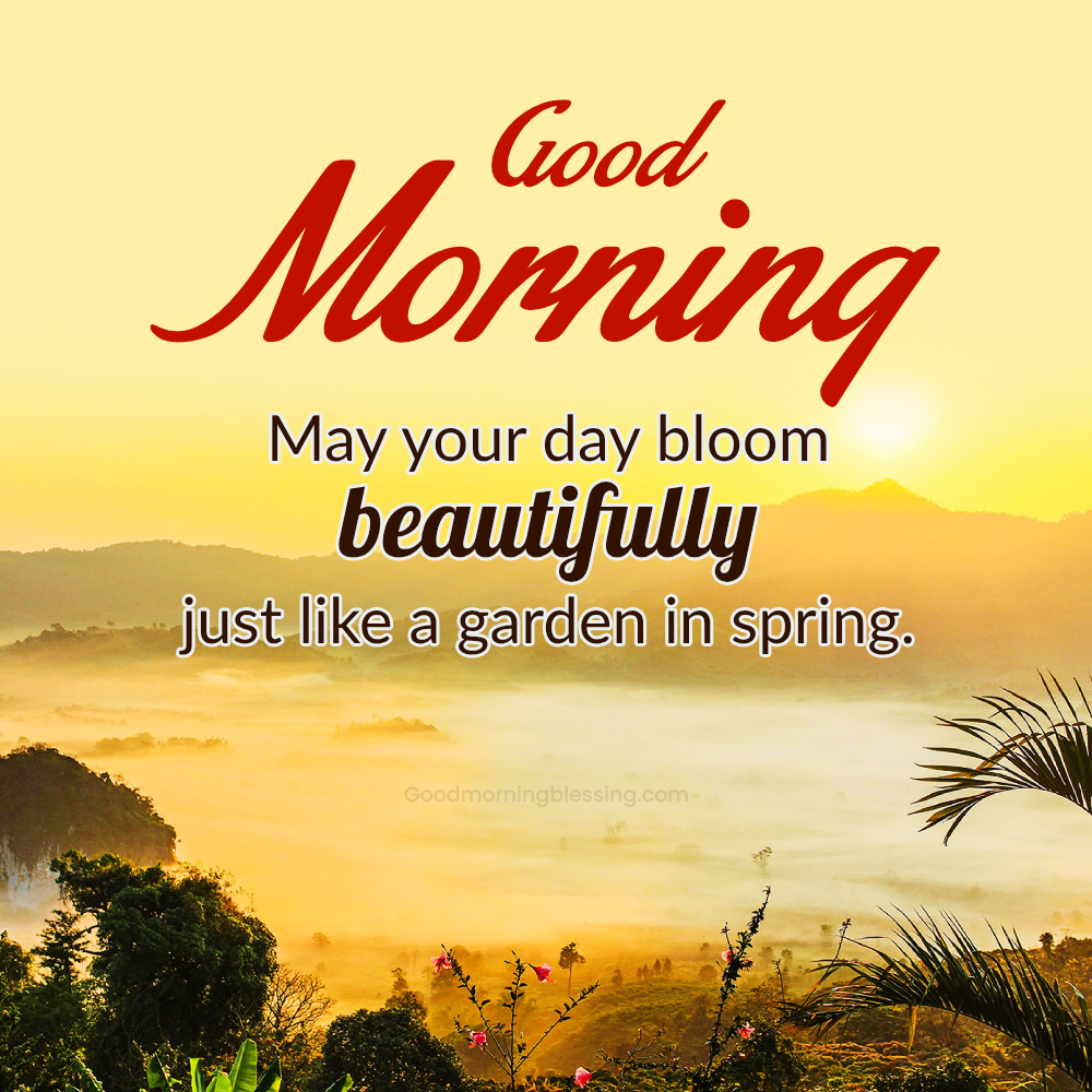 Happy Wednesday Positive Thoughts Funny