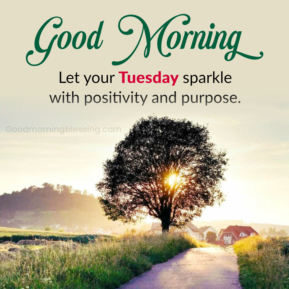 Inspiration Positive Good Morning Tuesday Igoodmorningblessing