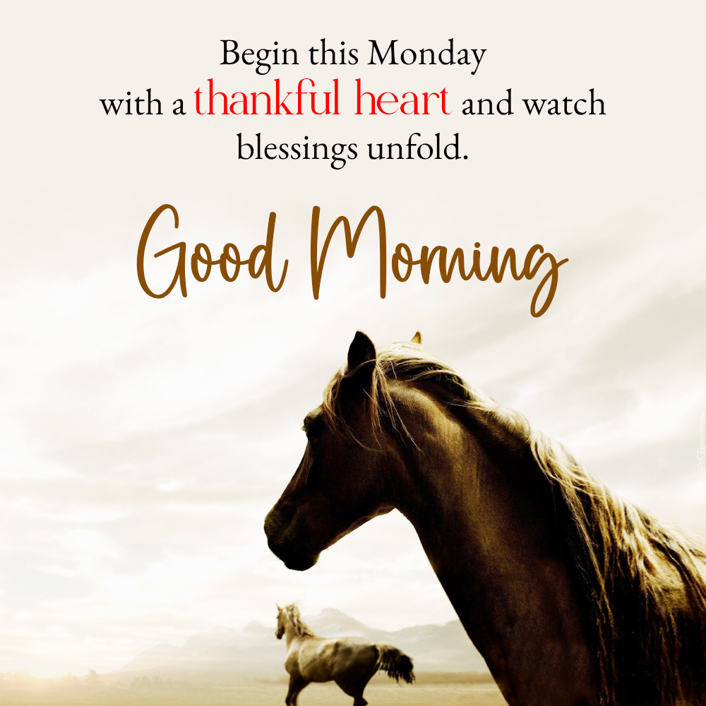 Inspirational Happy Monday Good Morning Blessing