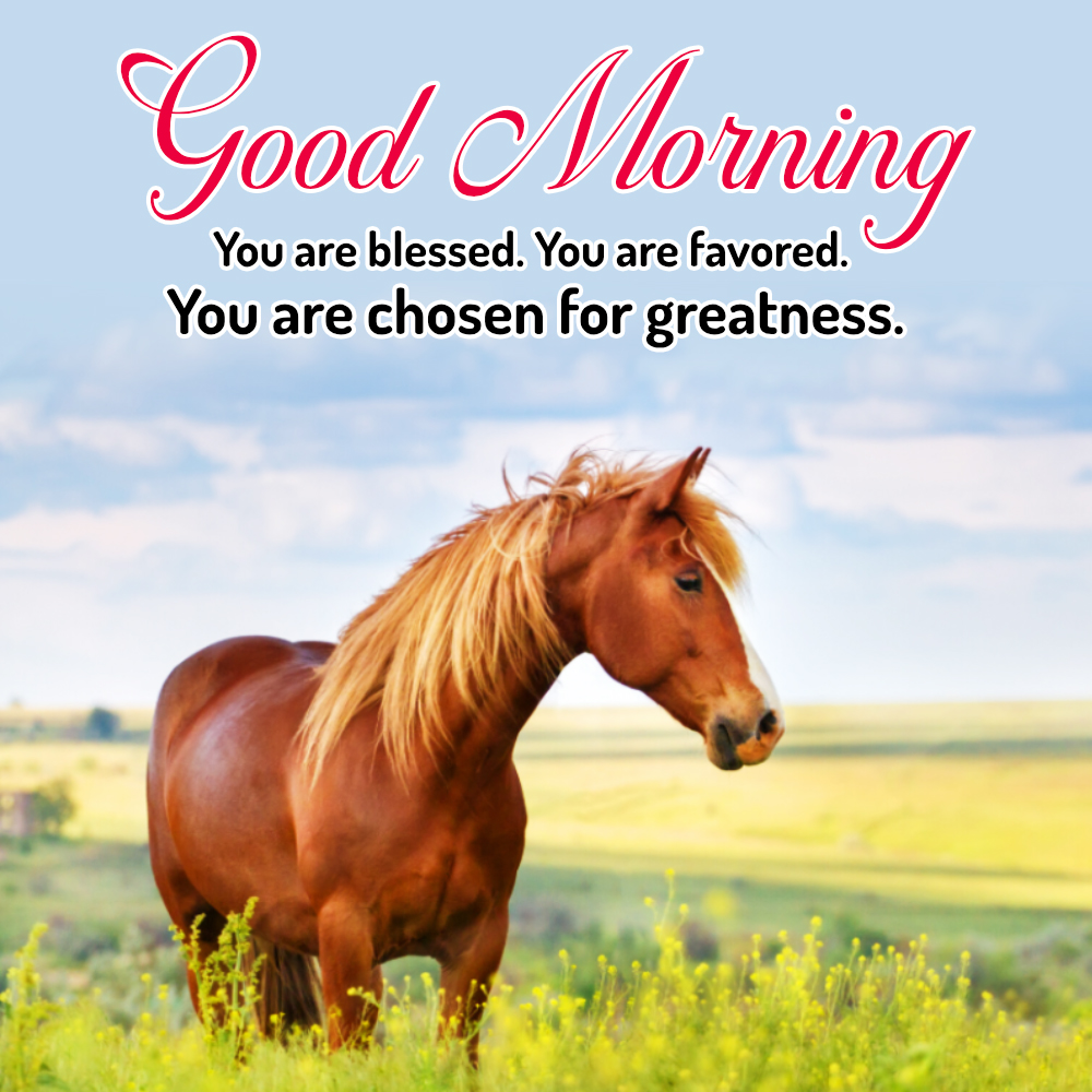 Inspirational Happy Monday Good Morning