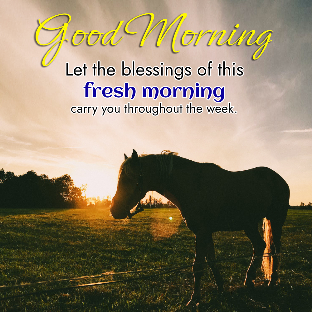 Monday Good Morning Blessing