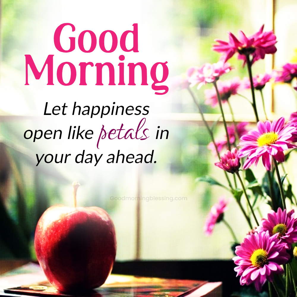 Morning Energy On Wednesday