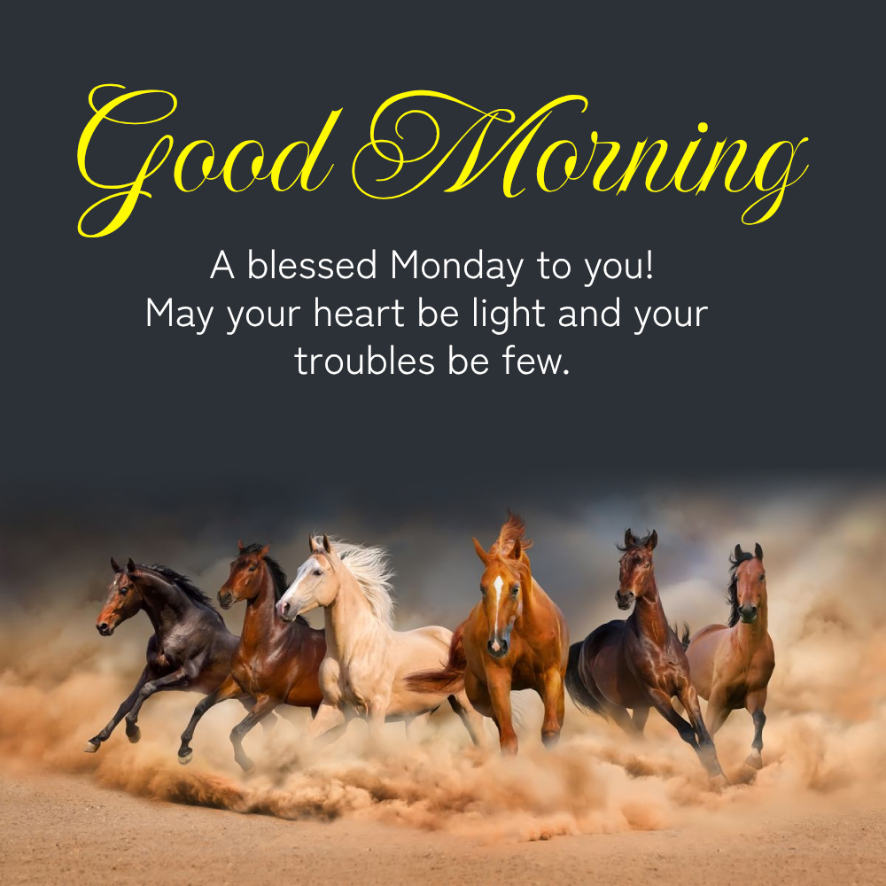Nature Good Morning Monday Images Good Morning Blessing