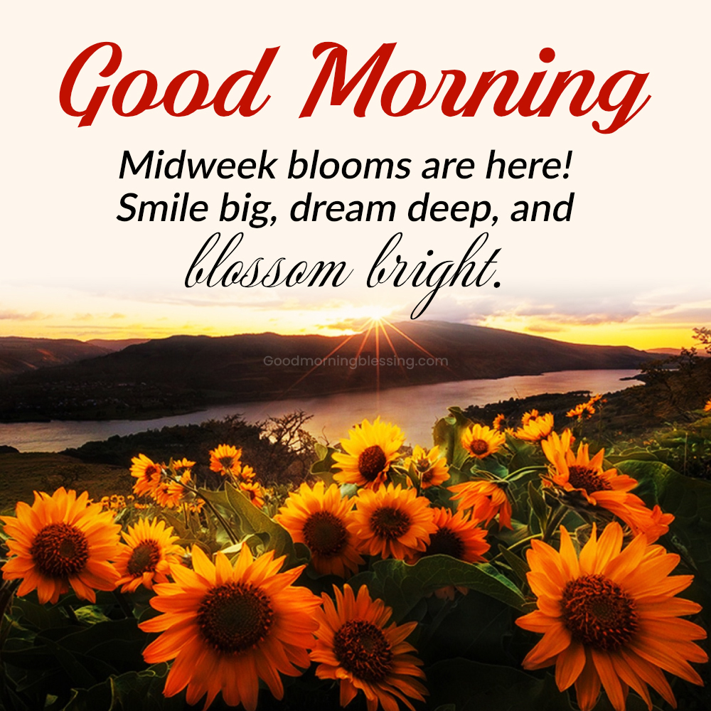 Nature Inspired Wednesday Morning