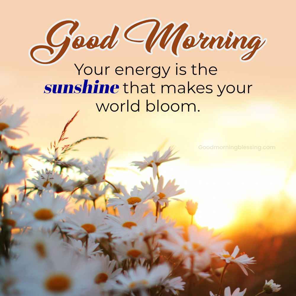 Peaceful Wednesday Morning