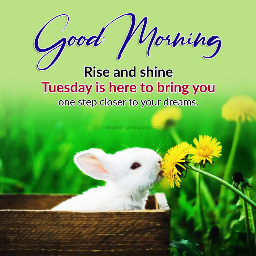 Positive Good Morning Tuesday Good Morning Blessing