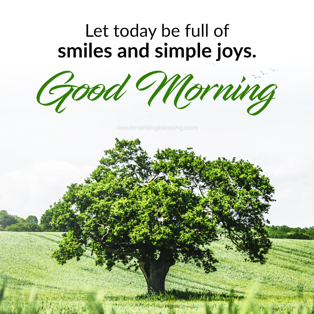 Positive Good Morning Tuesday Inspirational Quotes Good Morning Blessing