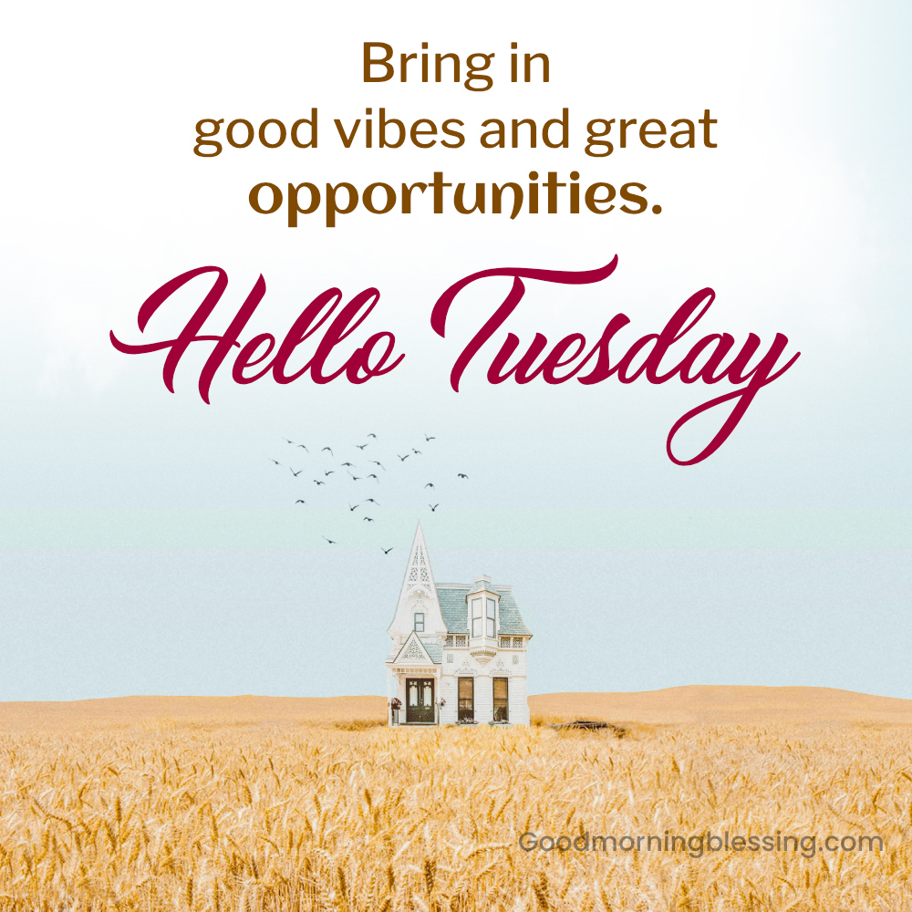 Tuesday Morning Inspirational Quotes Goodmorningblessing