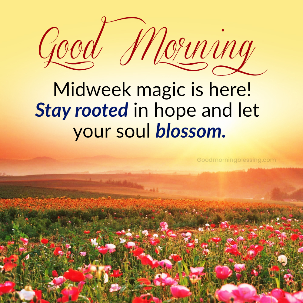 Wednesday Morning Flowers