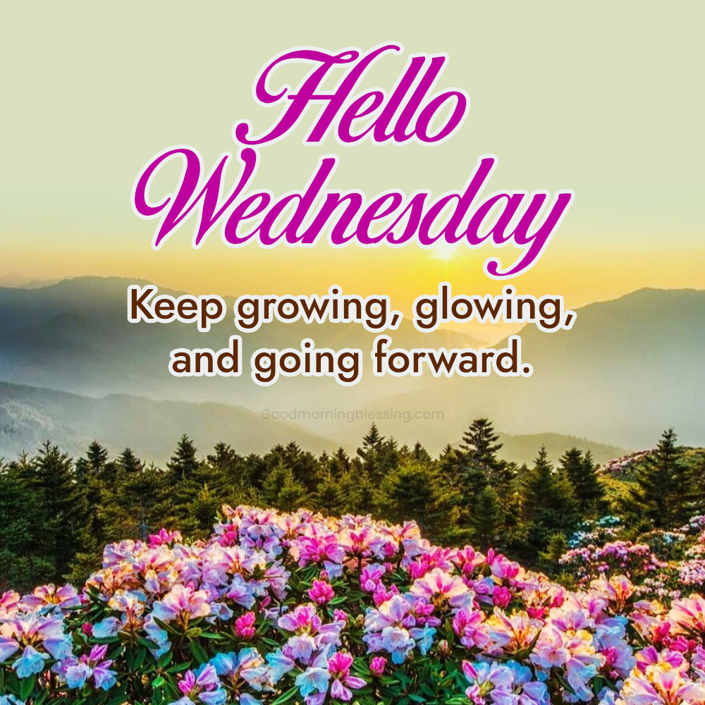 Wednesday Morning Nature Images