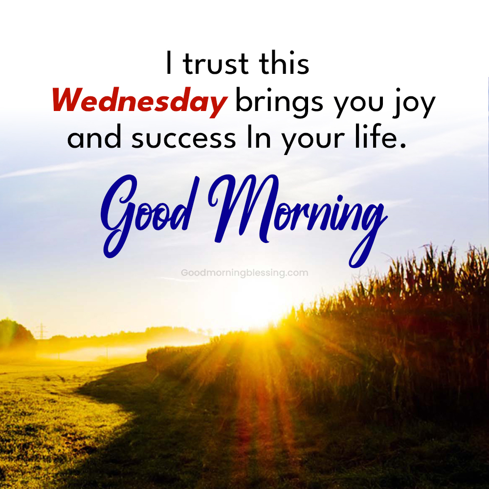 Wednesday Morning Sunshine