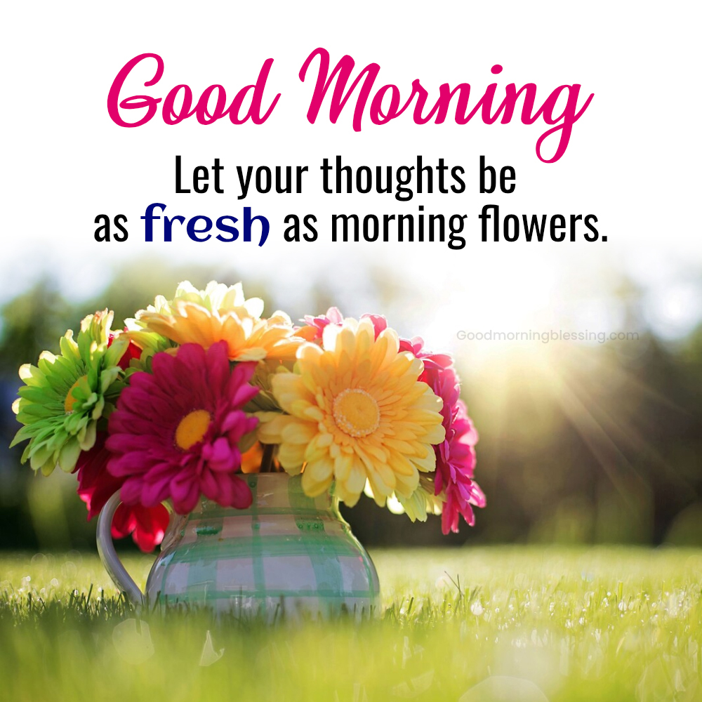 Wednesday Morning Wishes