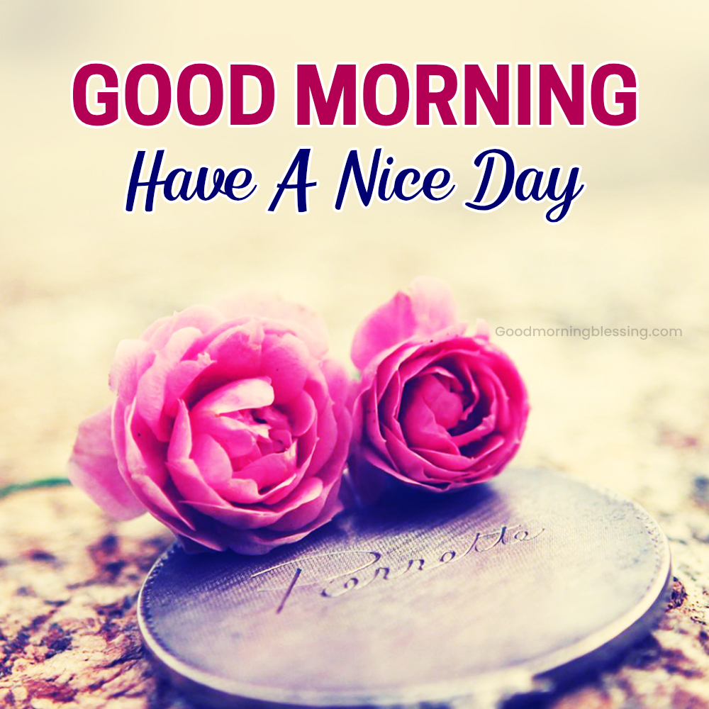 Beautiful Rose Morning Greetings