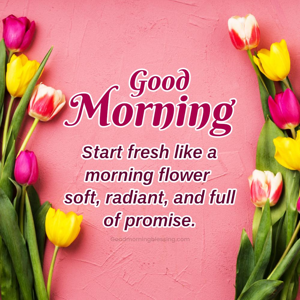 Best Good Morning Quotes For Positivity