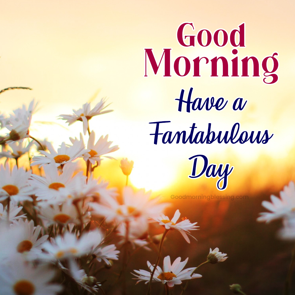 Bloom With Motivation Morning Wishes