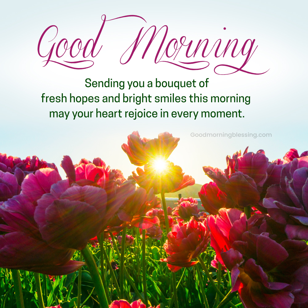 Flower Beautiful Good Morning Images