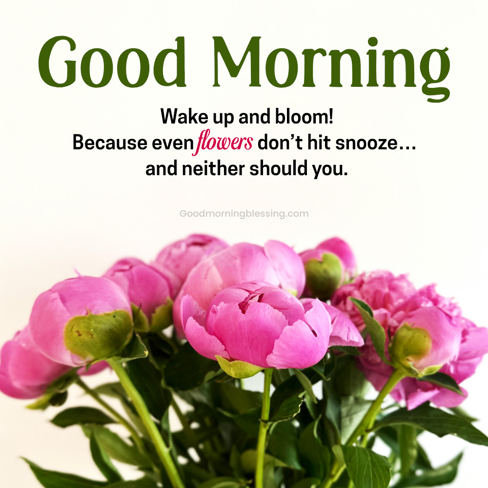 Flower Image With Good Morning Wishes