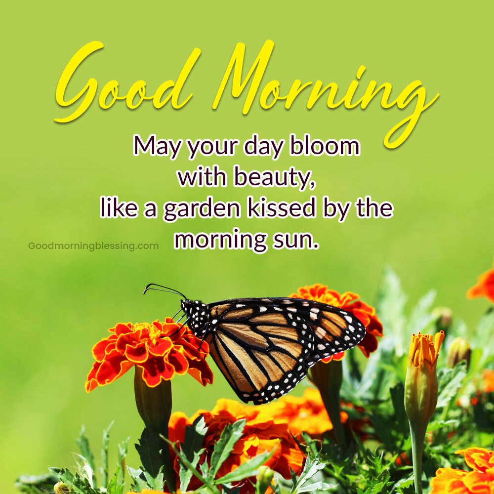 Fresh Flower Good Morning Quotes