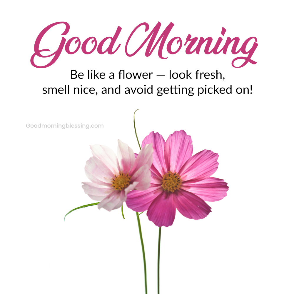 Funny Good Morning Messages