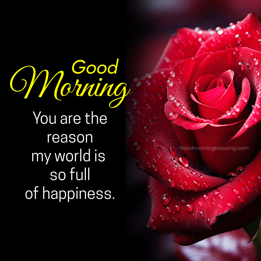 Gm Rose Wishes I Goodmorningblessing