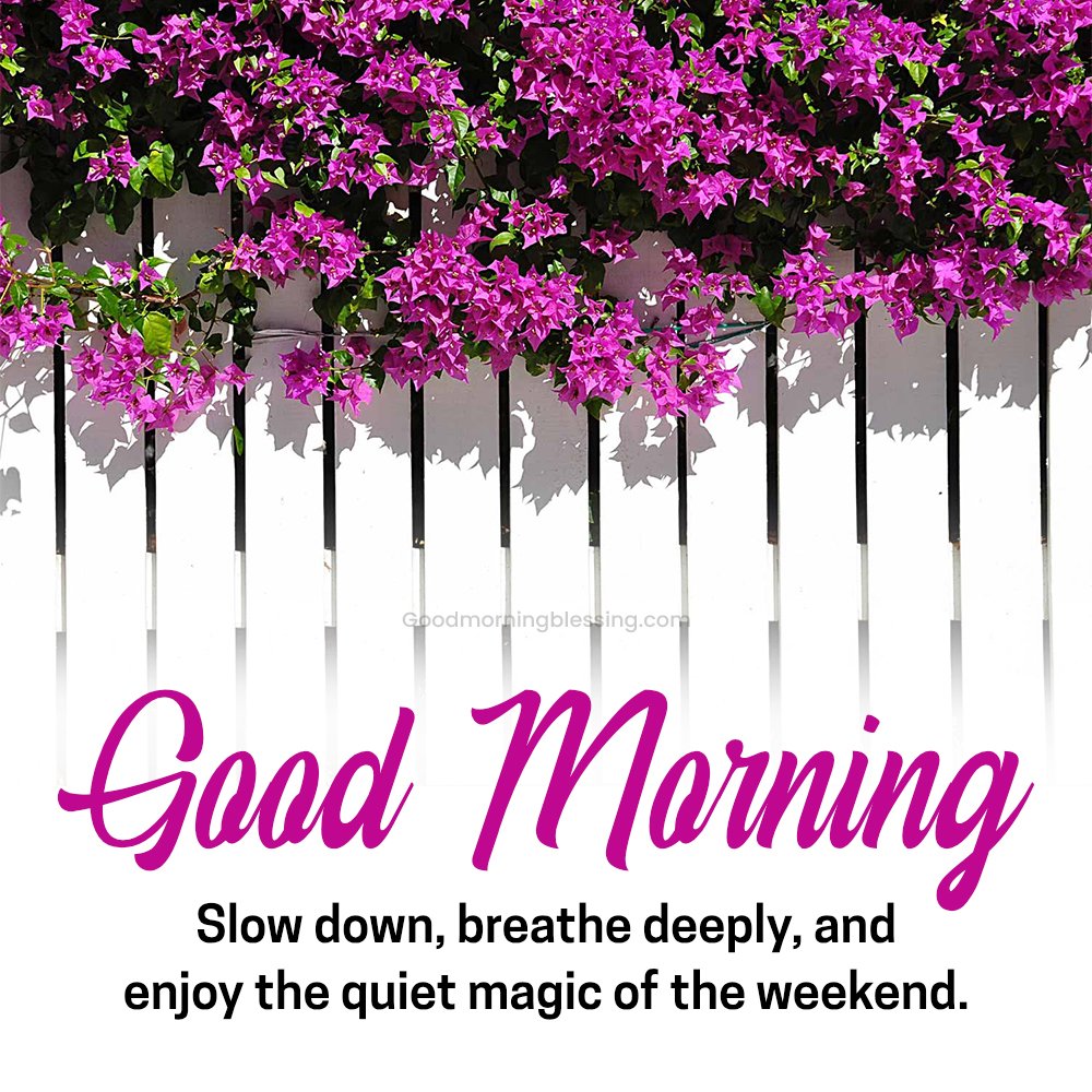 Good Morning Happy Weekend Picture
