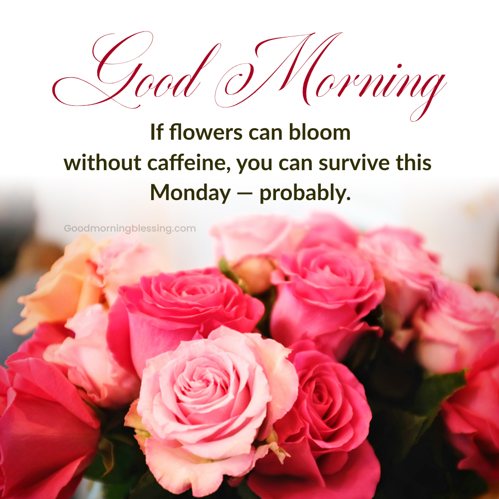 Good Morning Jokes With Flowers