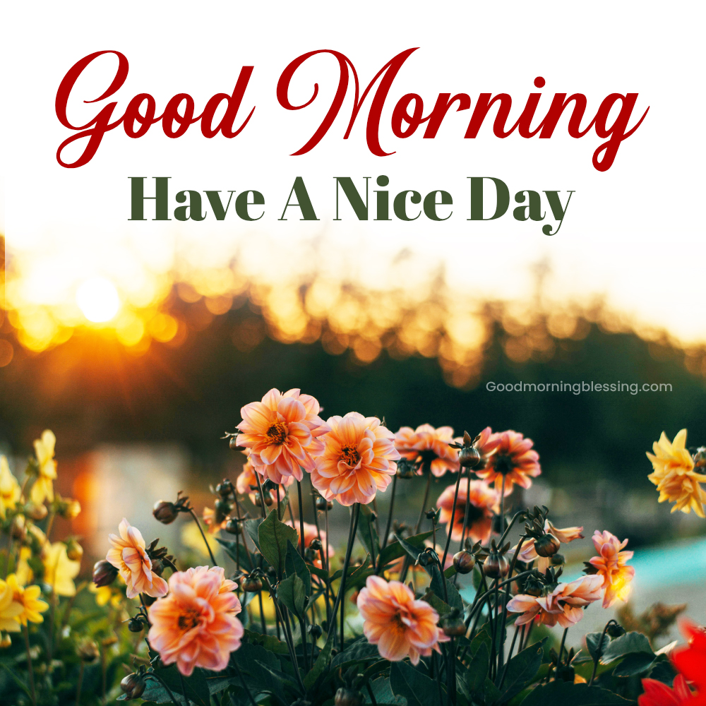 Good Morning Motivation Wishes