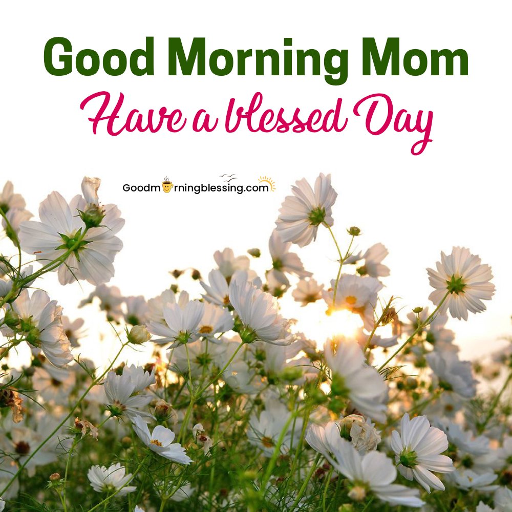Good Morning Pic