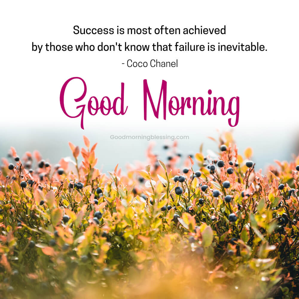 Good Morning Quotes About Achieving Goals