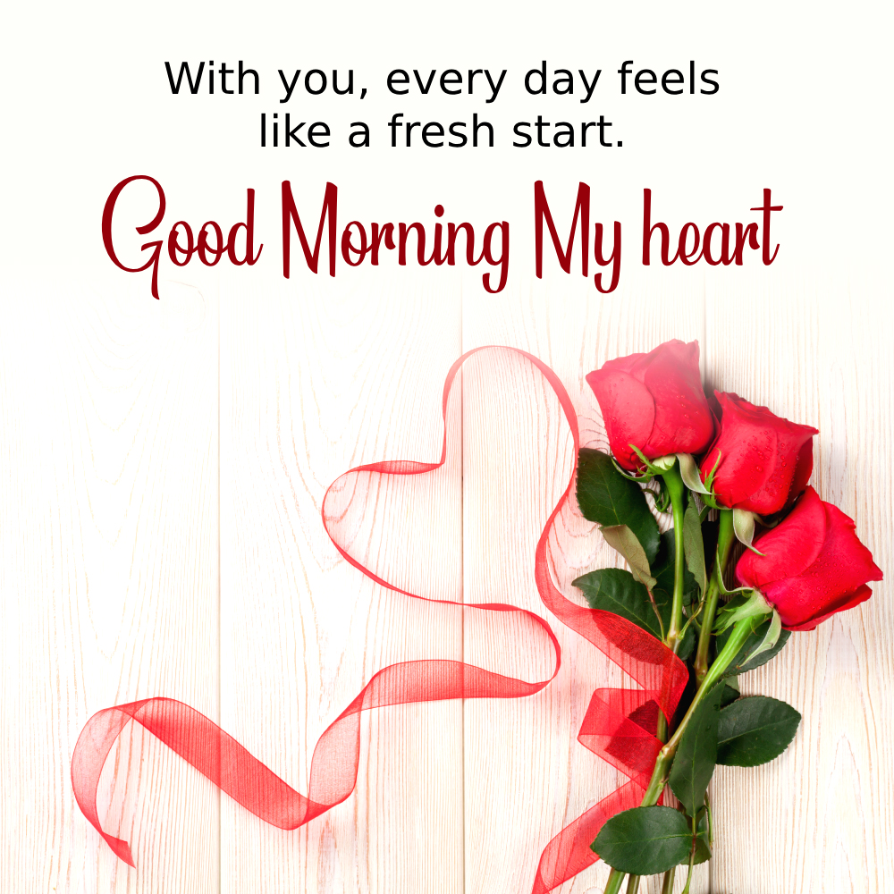 Good Morning Rose Flower For My Love I Goodmorningblessing