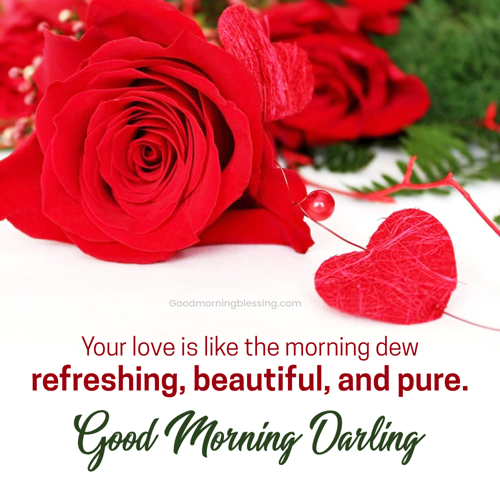 Good Morning Rose For Girlfriend I Goodmorningblessing