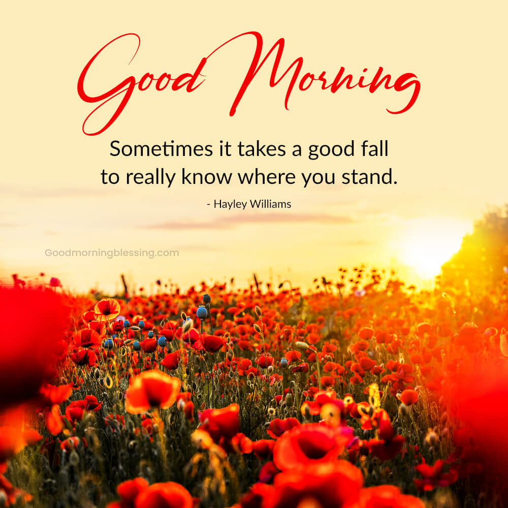 Good Morning Success Quotes In English