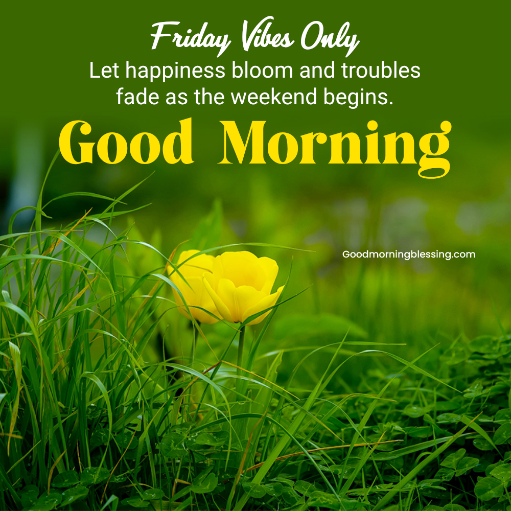 Good Morning Friday Wishes