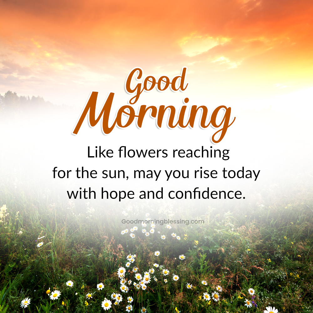 Happiness Good Morning Flowers With Messages