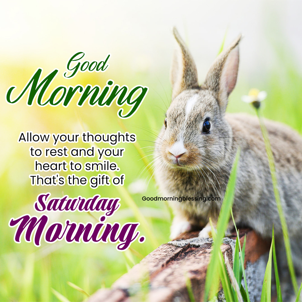 Happy Saturday Images