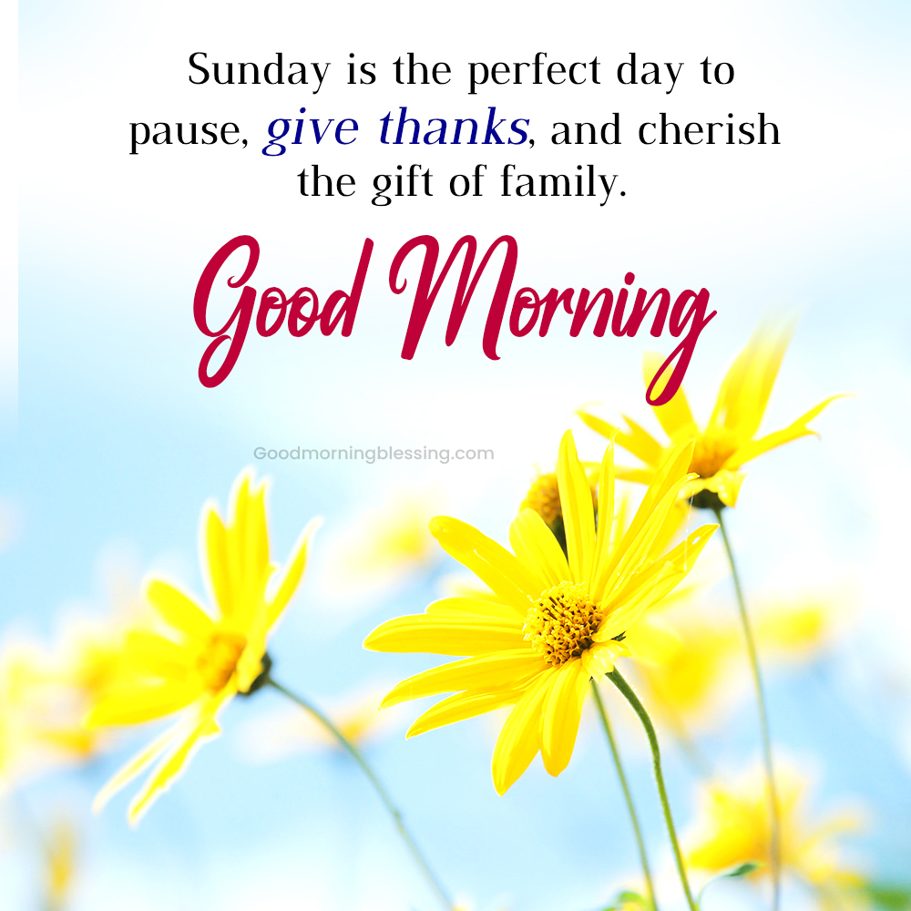 Happy Sunday My Friend