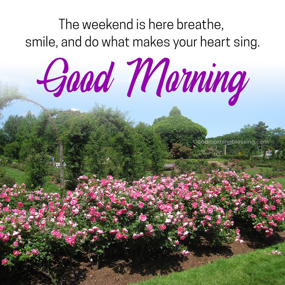 Happy Weekend Cute Message Pic