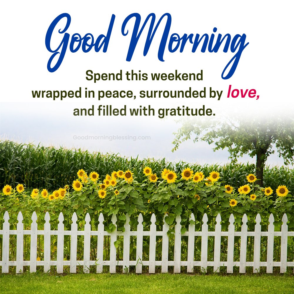Happy Weekend Flower Photo