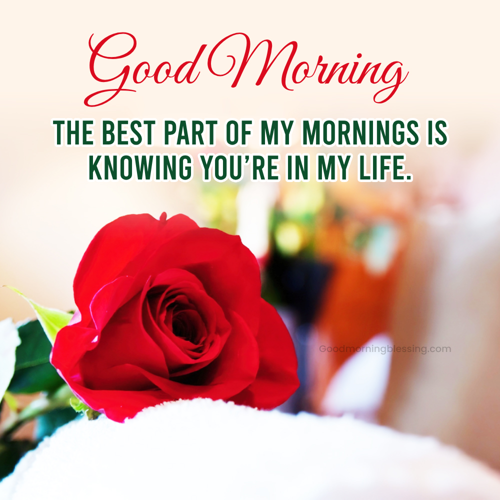 Heart Romantic Good Morning Rose I Goodmorningblessing