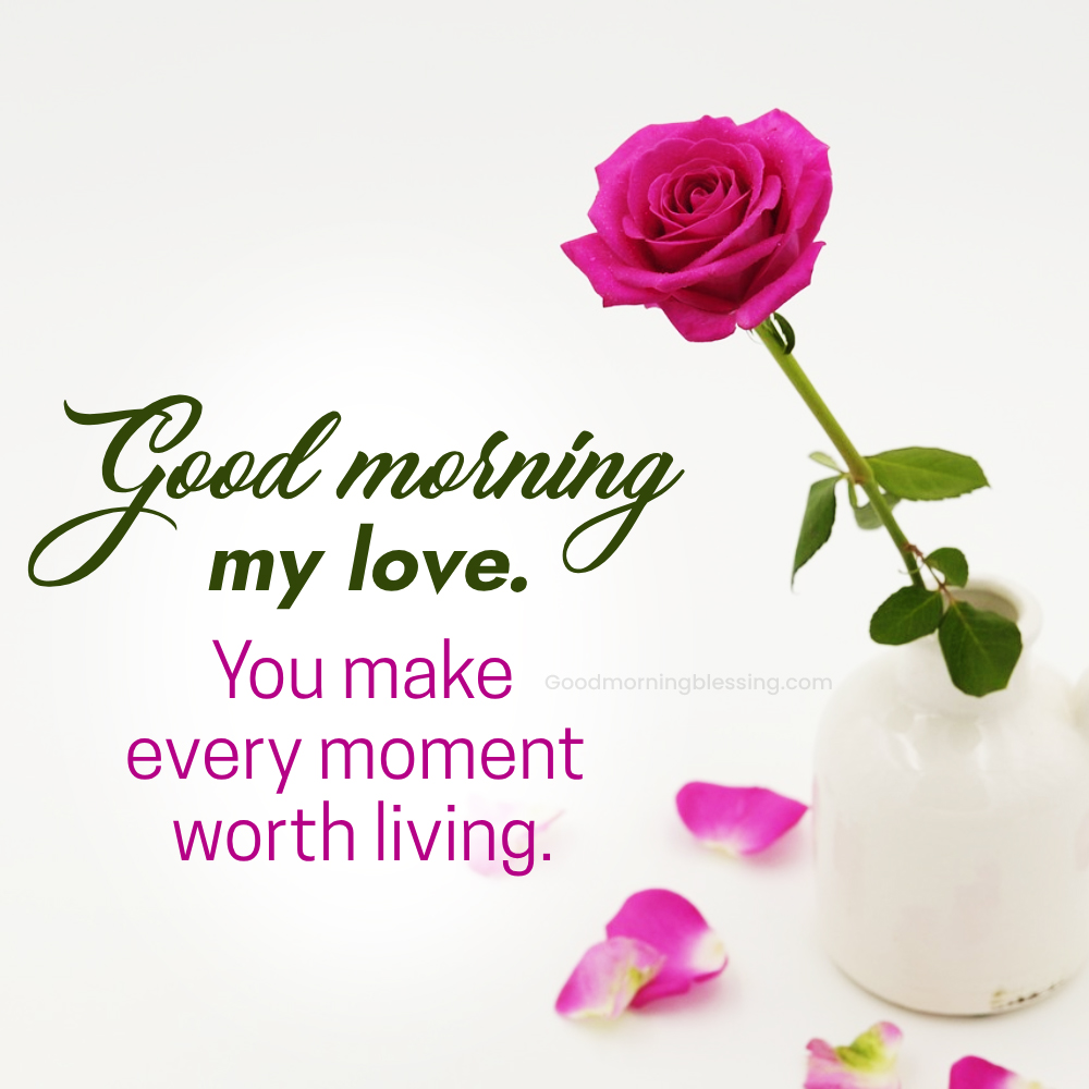 Love Good Morning Rose I Goodmorningblessing