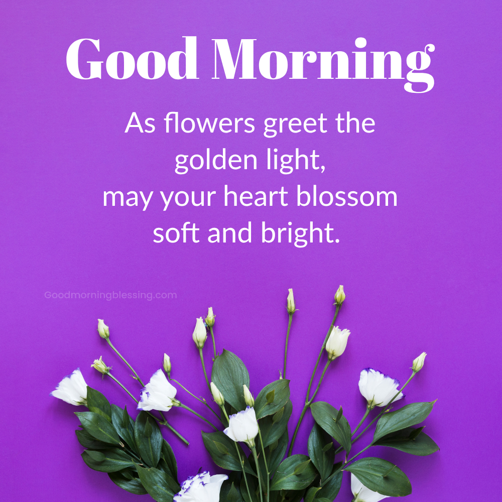Love Poetry Good Morning Quotes