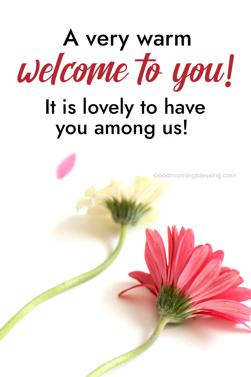 Lovely Welcome Messages