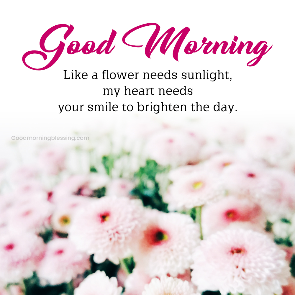 Morning Greetings With Flowers For Loved Ones