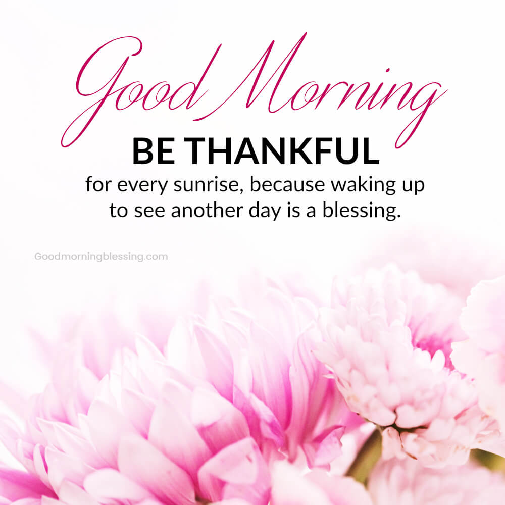 Morning Life Struggle Quotes